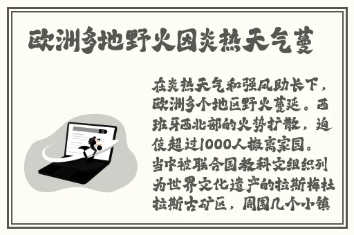 亚洲乱妇88网